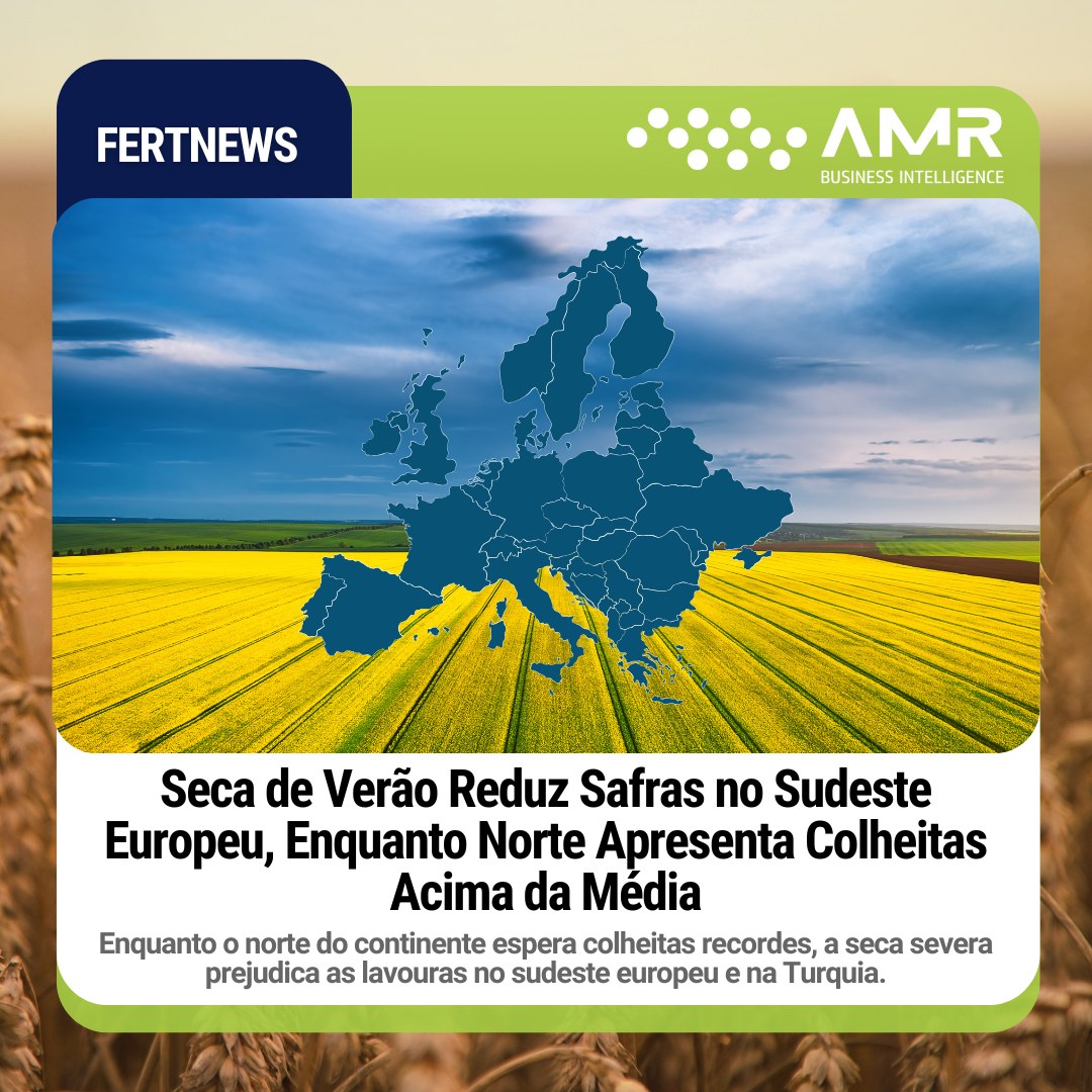 Capa da postagem Seca de Verão Reduz Safras no Sudeste Europeu, Enquanto Norte Apresenta Colheitas Acima da Média