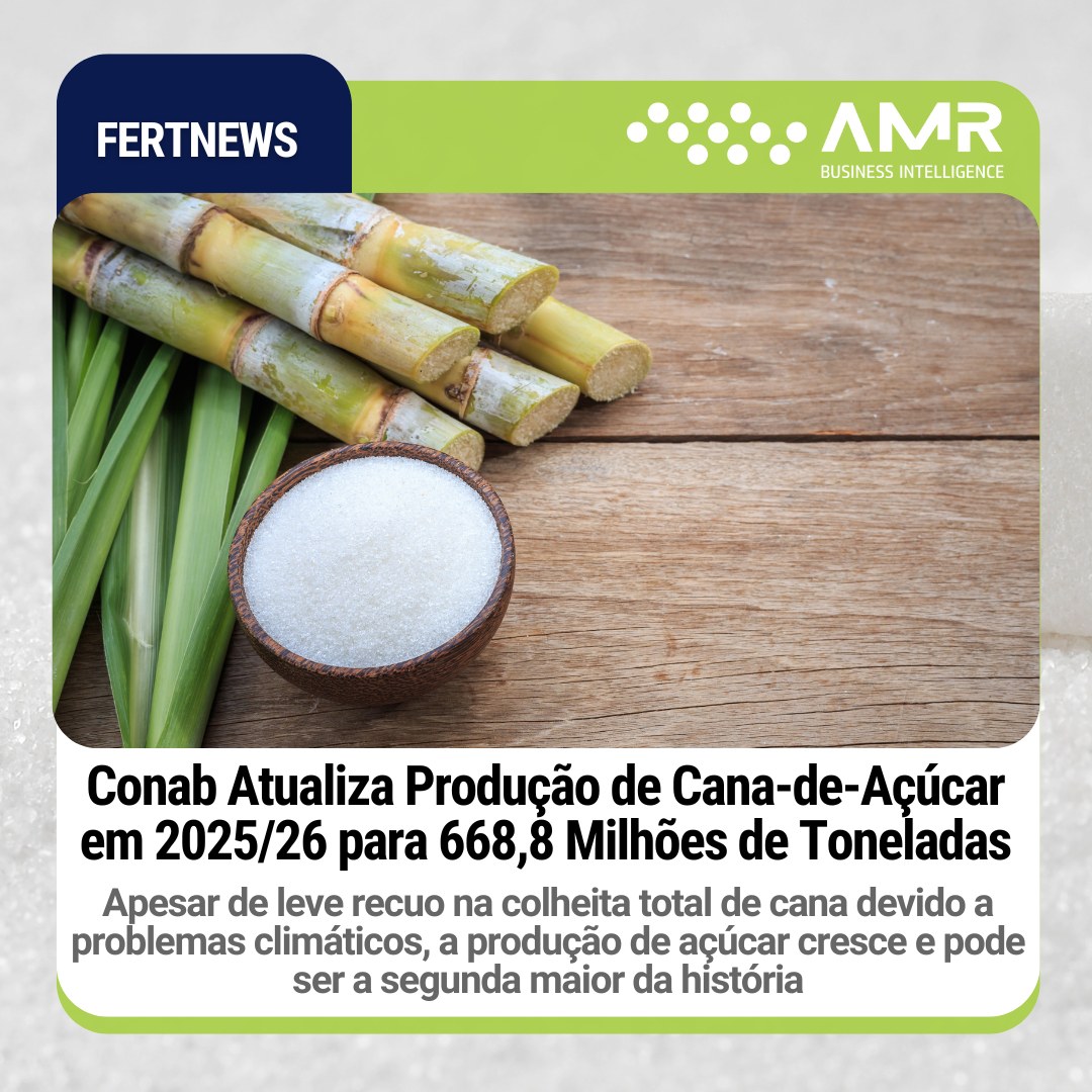 Capa da postagem Conab Atualiza Produção de Cana-de-Açúcar em 2025/26 para 668,8 Milhões de Toneladas