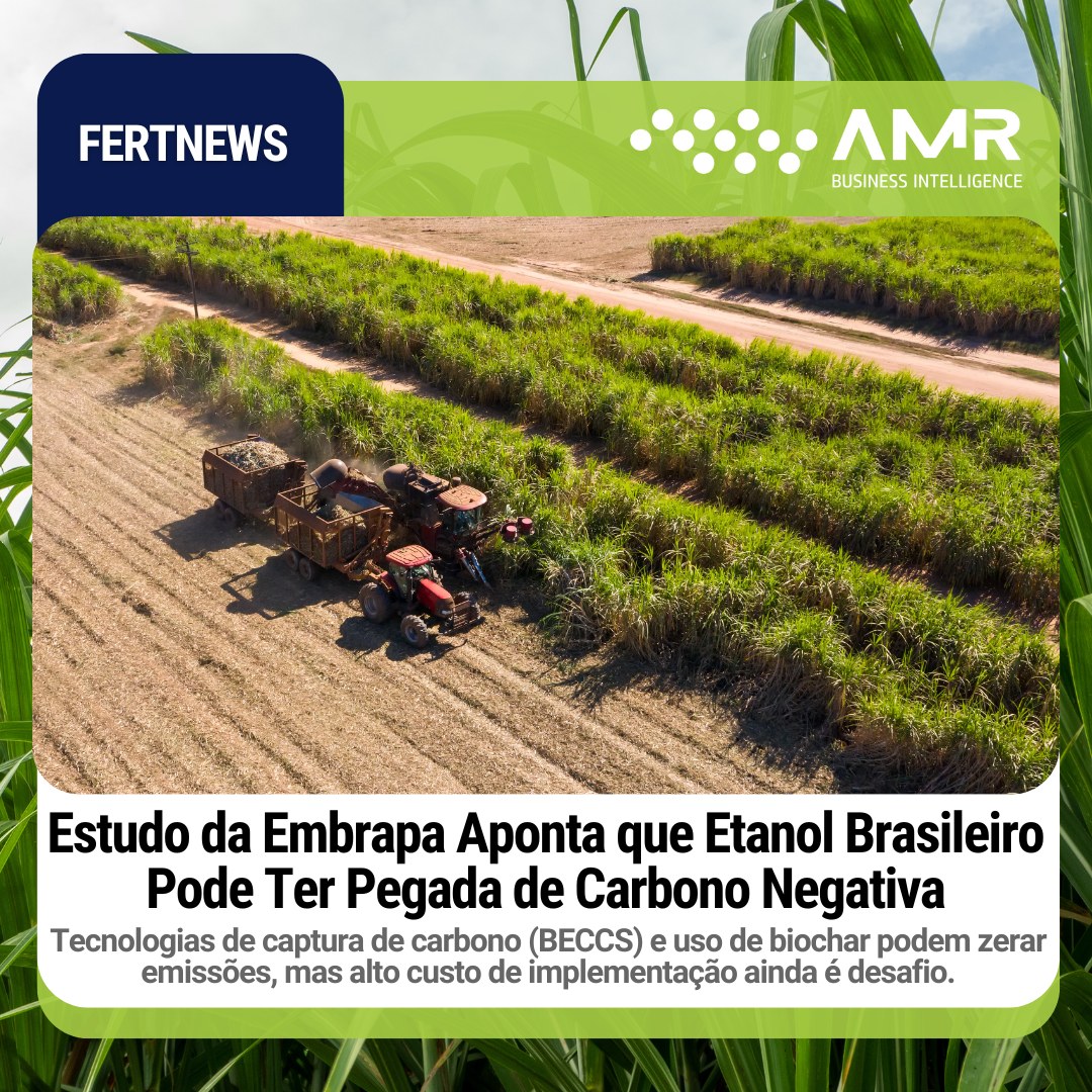 Capa da postagem Estudo da Embrapa Aponta que Etanol Brasileiro Pode Ter Pegada de Carbono Negativa