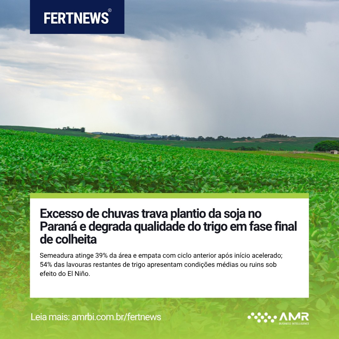 Capa da postagem Excesso de chuvas trava plantio da soja no Paraná e degrada qualidade do trigo em fase final de colheita