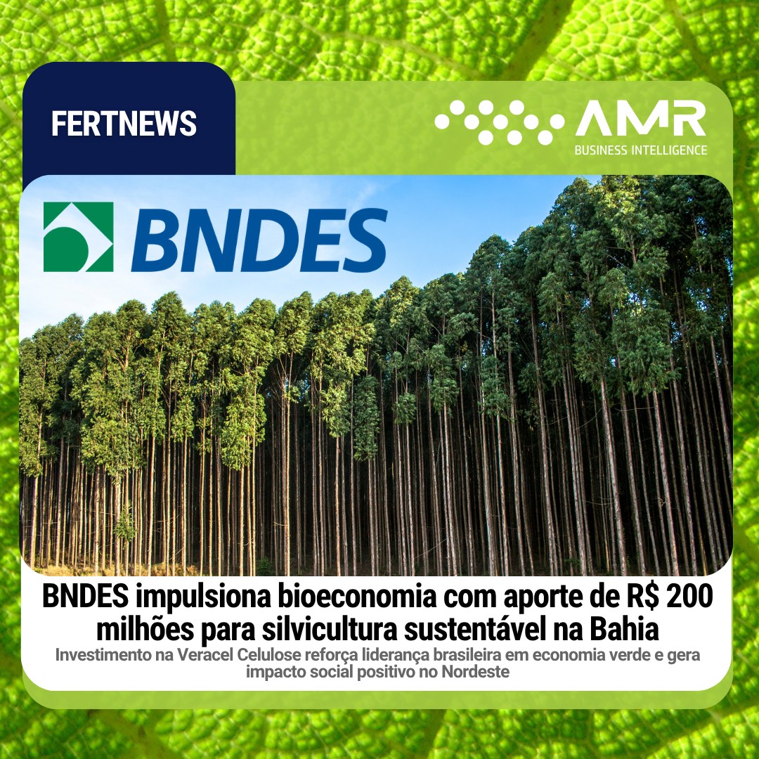 Capa da postagem BNDES impulsiona bioeconomia com aporte de R$ 200 milhões para silvicultura sustentável na Bahia