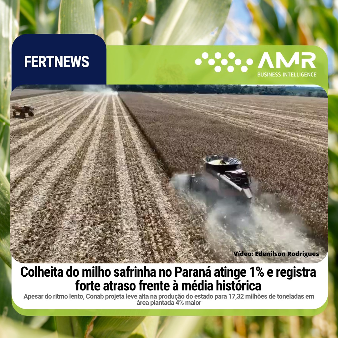 Capa da postagem Colheita do milho safrinha no Paraná atinge 1% e registra forte atraso frente à média histórica