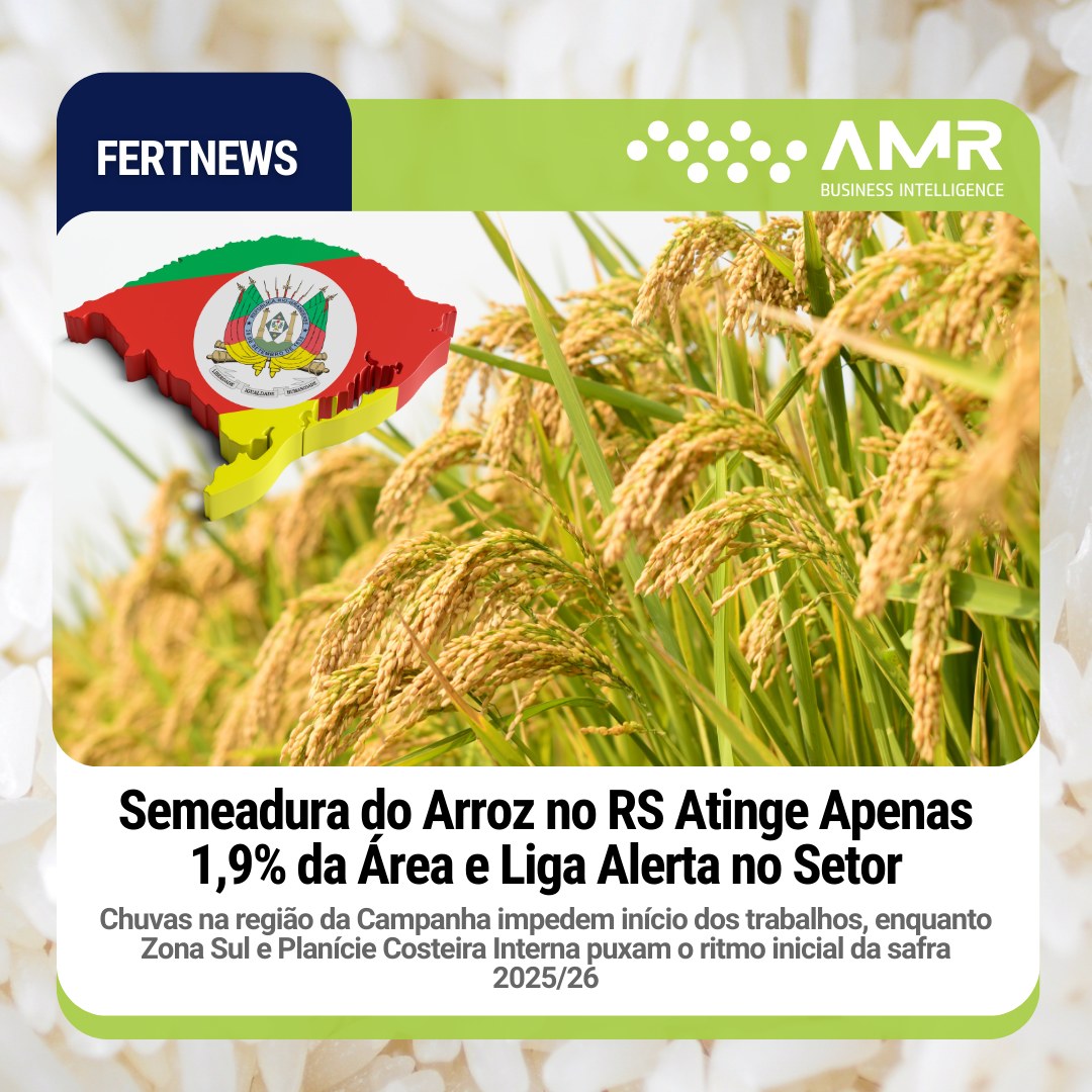 Capa da postagem Semeadura do Arroz no RS Atinge Apenas 1,9% da Área e Liga Alerta no Setor