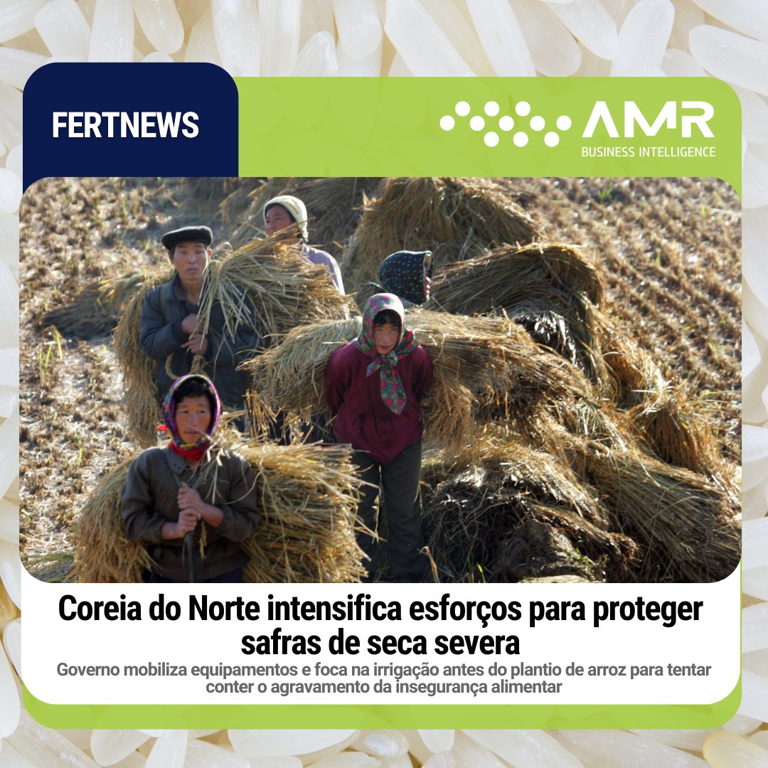 Capa da postagem Coreia do Norte intensifica esforços para proteger safras de seca severa