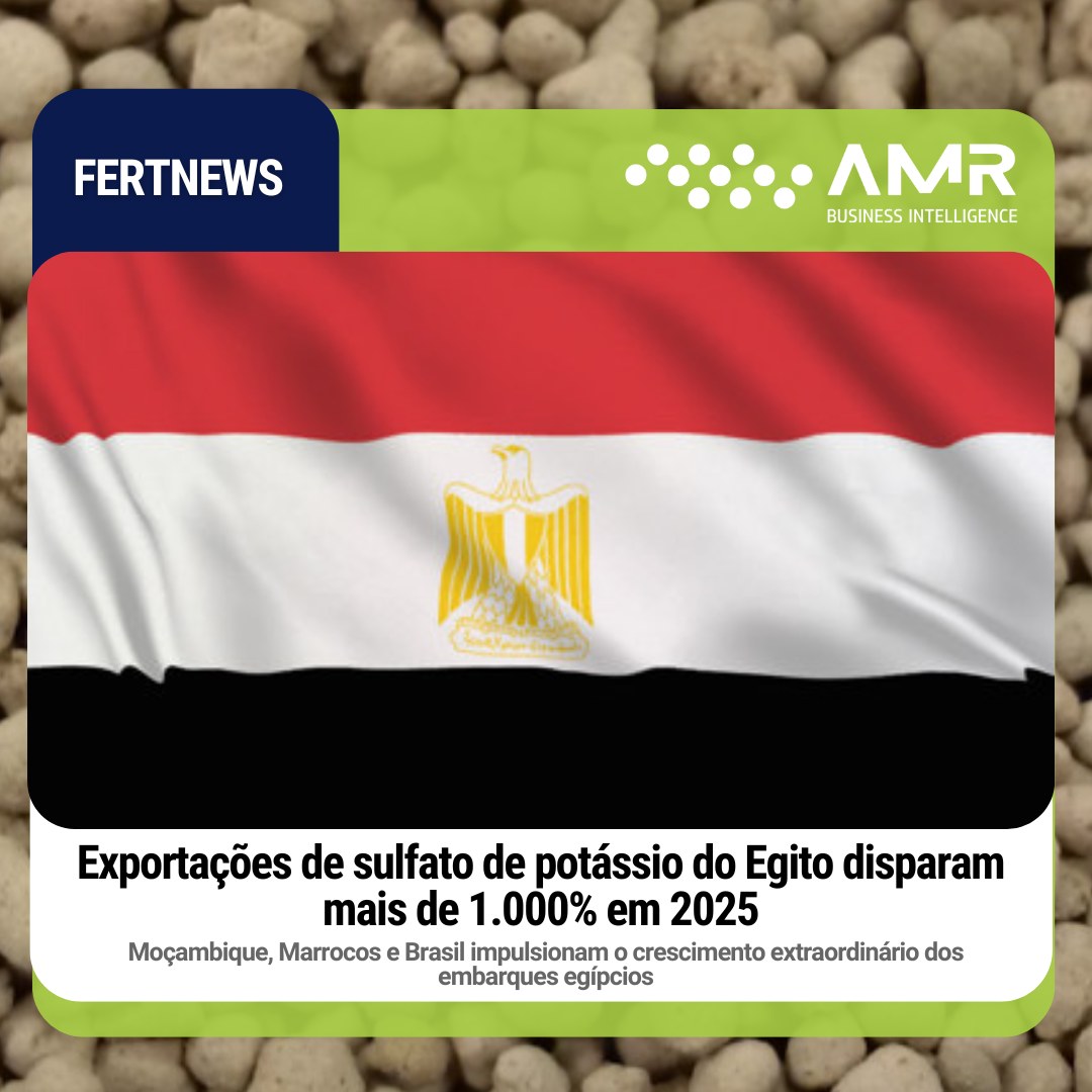 Capa da postagem Exportações de sulfato de potássio do Egito disparam mais de 1.000% em 2025