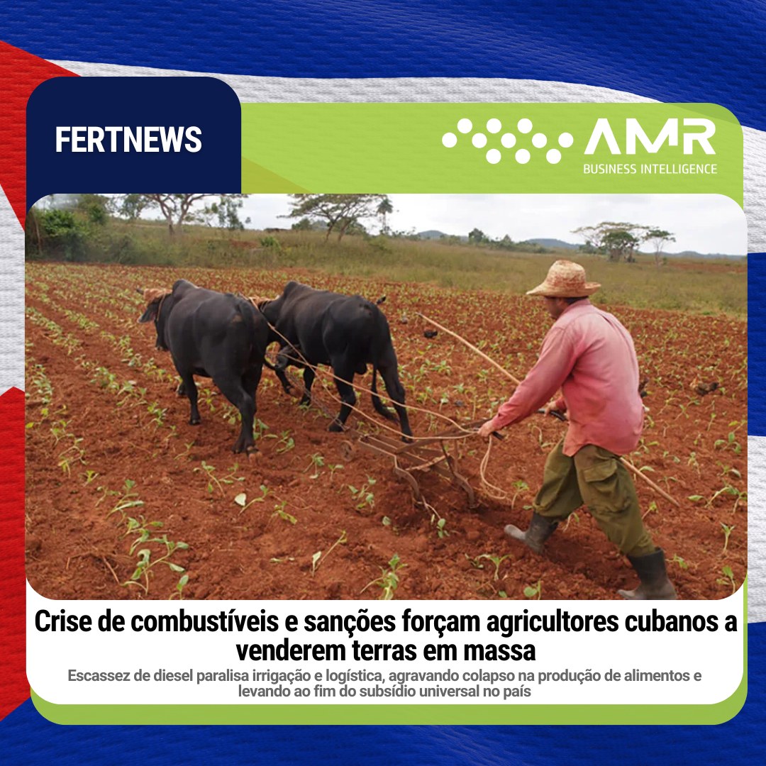 Capa da postagem Crise de combustíveis e sanções forçam agricultores cubanos a venderem terras em massa