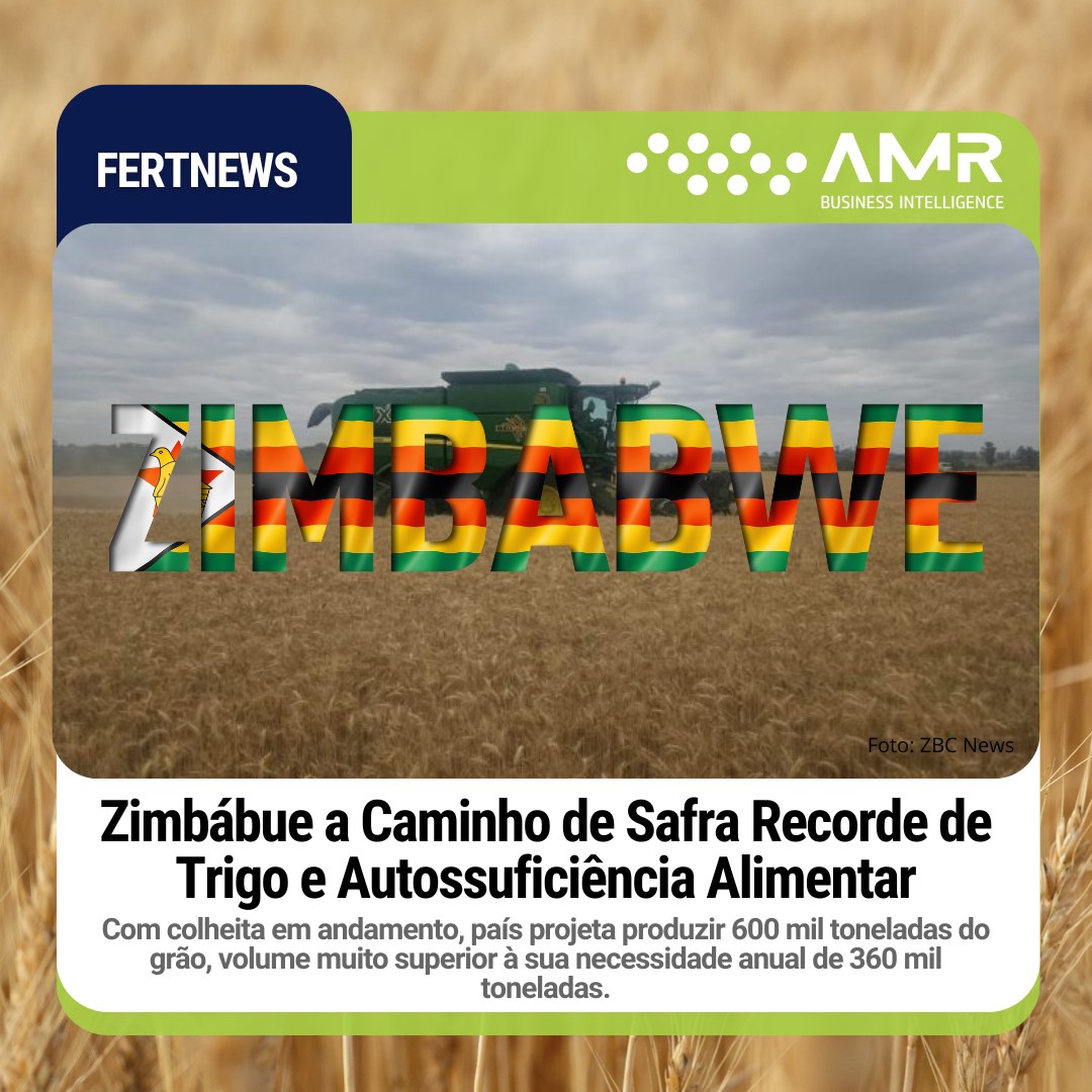 Capa da postagem Zimbábue a Caminho de Safra Recorde de Trigo e Autossuficiência Alimentar