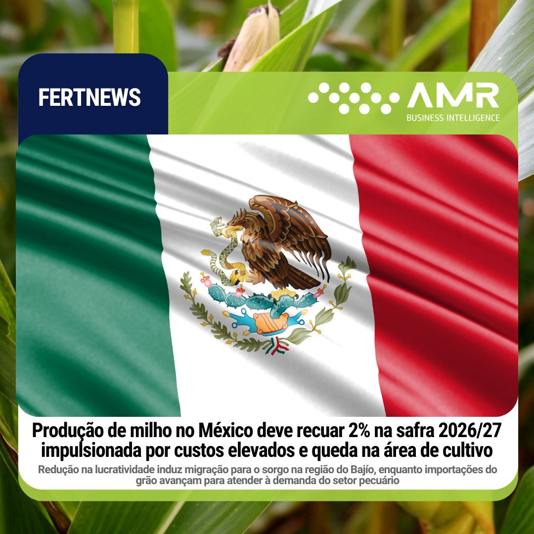 Capa da postagem Produção de milho no México deve recuar 2% na safra 2026/27 impulsionada por custos elevados e queda na área de cultivo