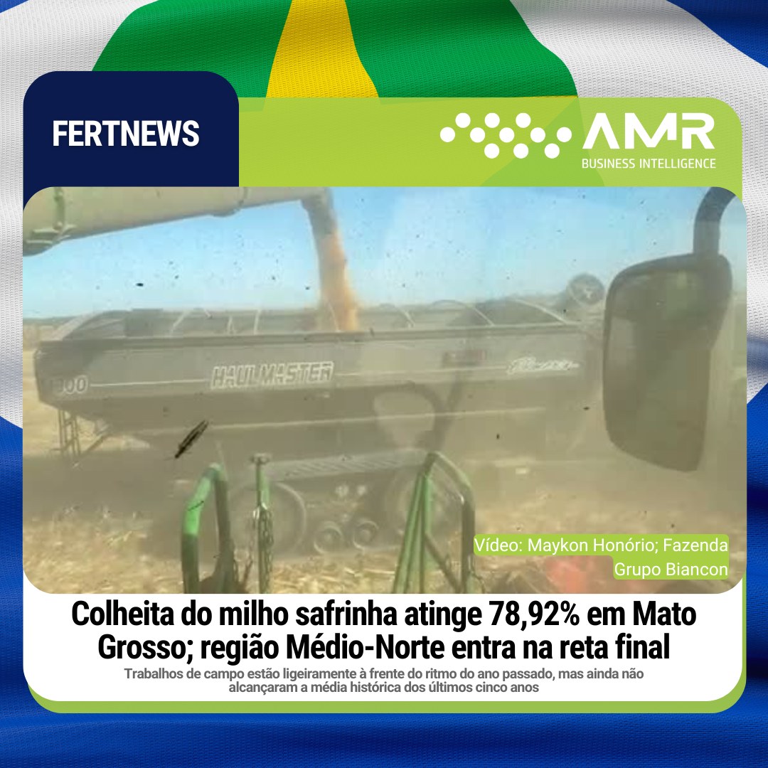 Capa da postagem Colheita do milho safrinha atinge 78,92% em Mato Grosso; região Médio-Norte entra na reta final