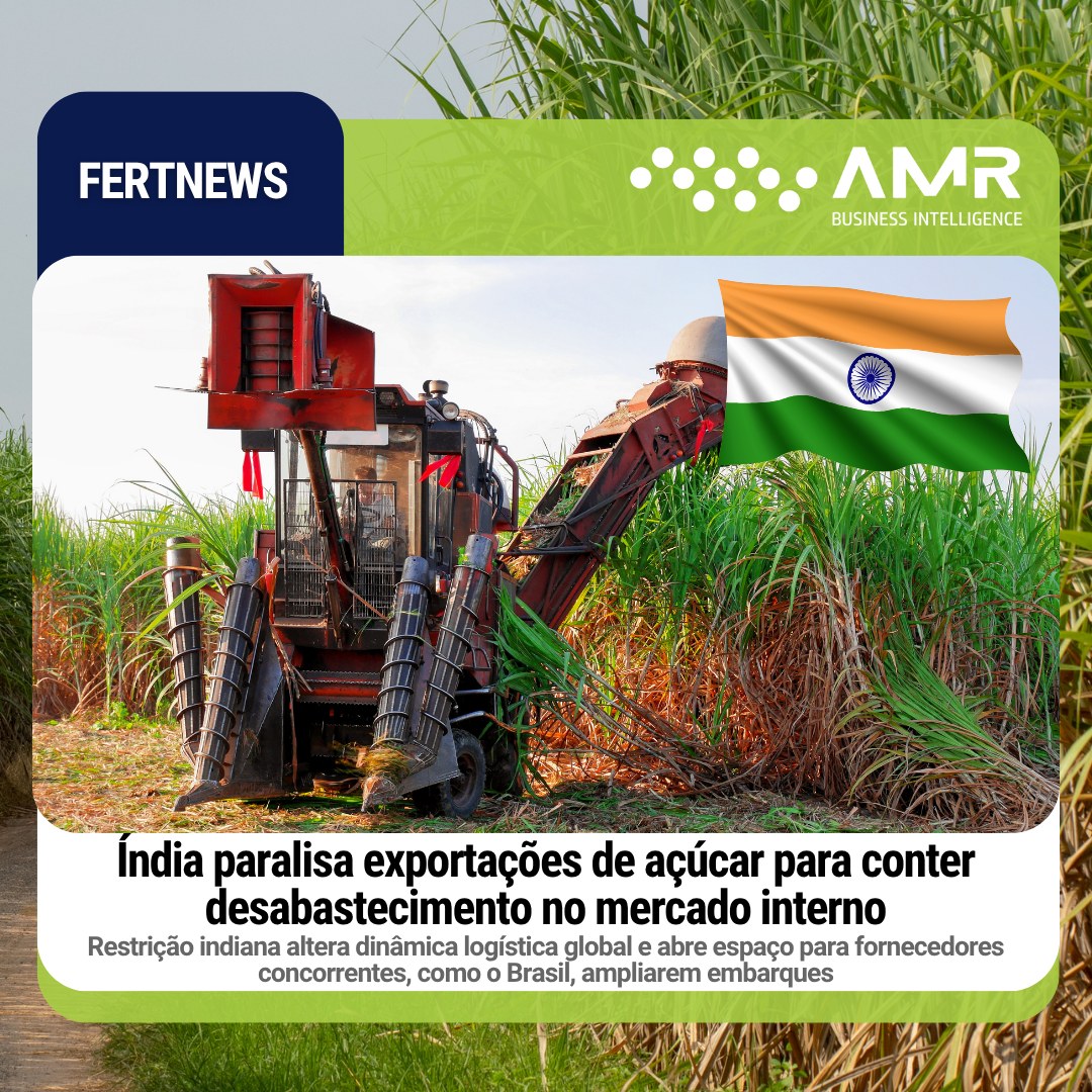 Capa da postagem Índia paralisa exportações de açúcar para conter desabastecimento no mercado interno