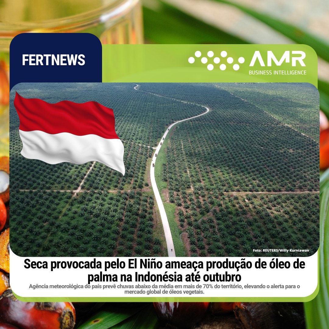 Capa da postagem Seca provocada pelo El Niño ameaça produção de óleo de palma na Indonésia até outubro