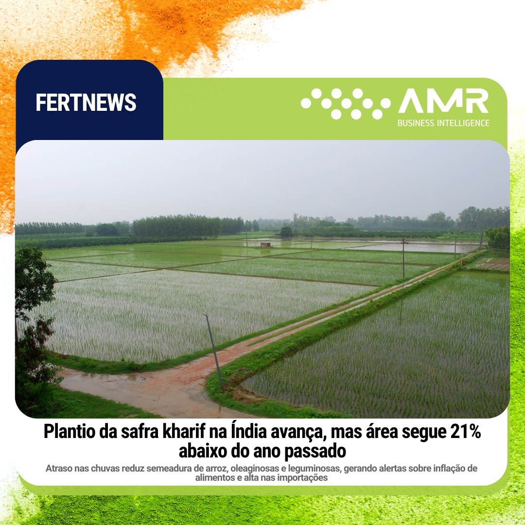 Capa da postagem Plantio da safra kharif na Índia avança, mas área segue 21% abaixo do ano passado