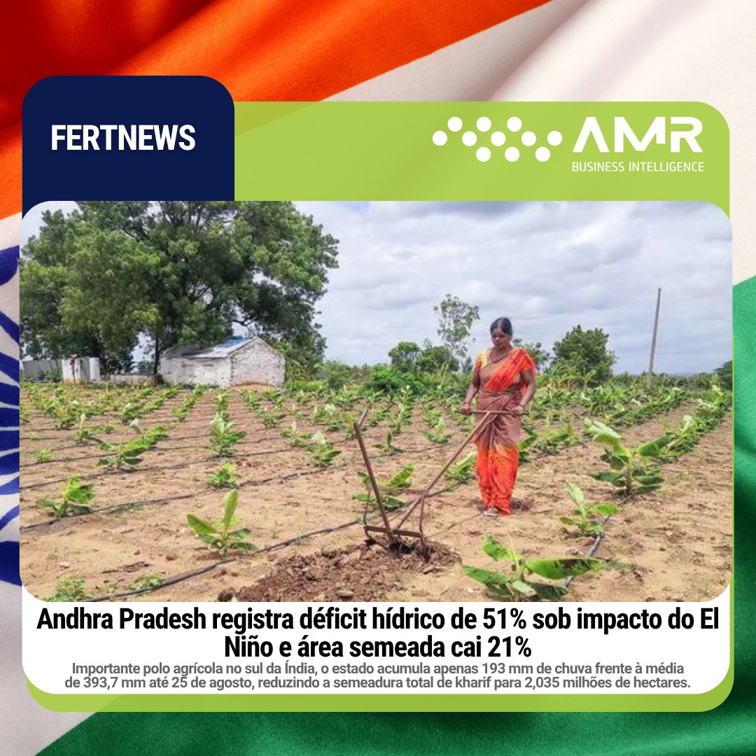 Capa da postagem Andhra Pradesh registra déficit hídrico de 51% sob impacto do El Niño e área semeada cai 21%