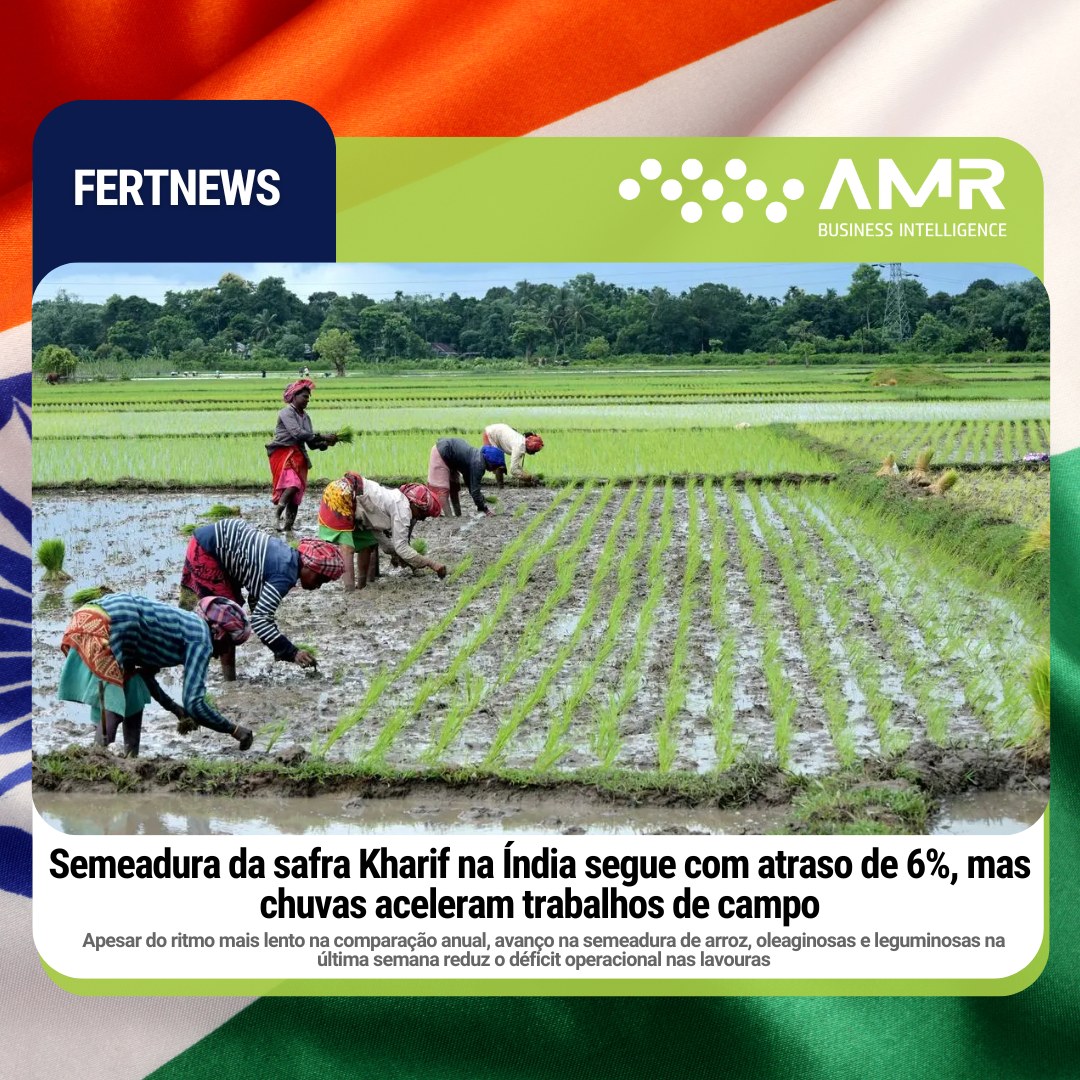 Capa da postagem Semeadura da safra Kharif na Índia segue com atraso de 6%, mas chuvas aceleram trabalhos de campo