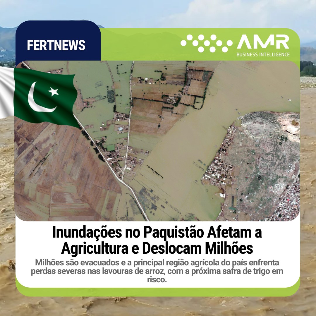 Capa da postagem Inundações no Paquistão Afetam a Agricultura e Deslocam Milhões