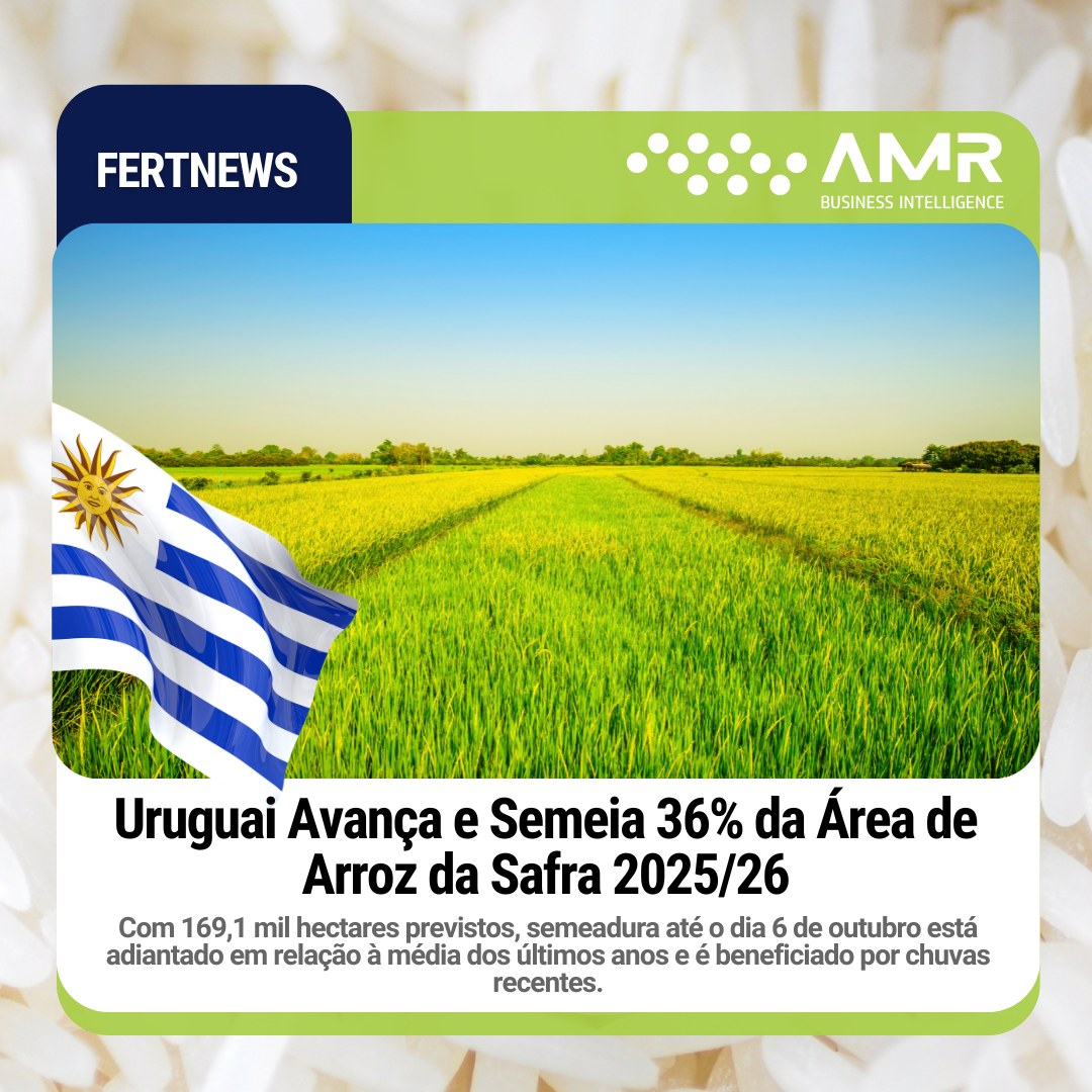 Capa da postagem Uruguai Avança e Semeia 36% da Área de Arroz da Safra 2025/26