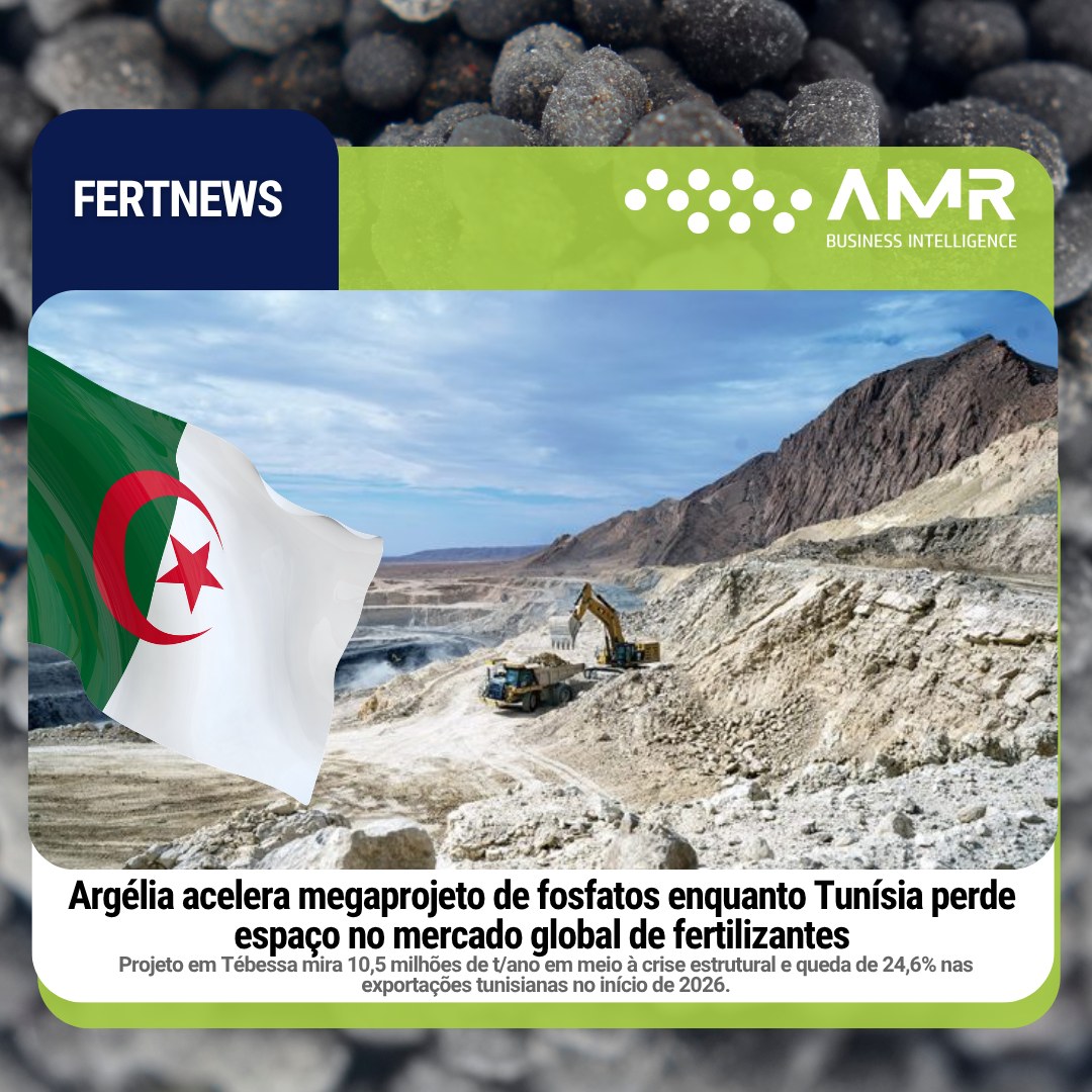 Capa da postagem Argélia acelera megaprojeto de fosfatos enquanto Tunísia perde espaço no mercado global de fertilizantes