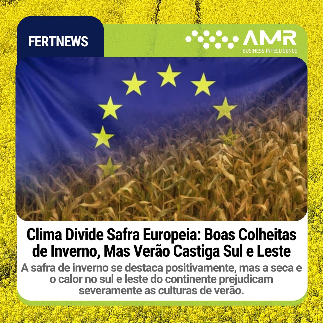 Capa da postagem Clima Divide Safra Europeia: Boas Colheitas de Inverno, Mas Verão Castiga Sul e Leste