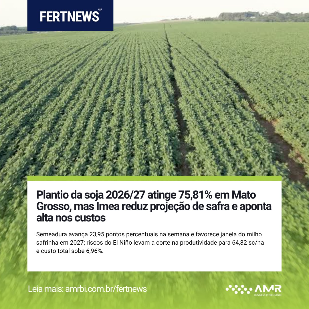 Capa da postagem Plantio da soja 2026/27 atinge 75,81% em Mato Grosso, mas Imea reduz projeção de safra e aponta alta nos custos