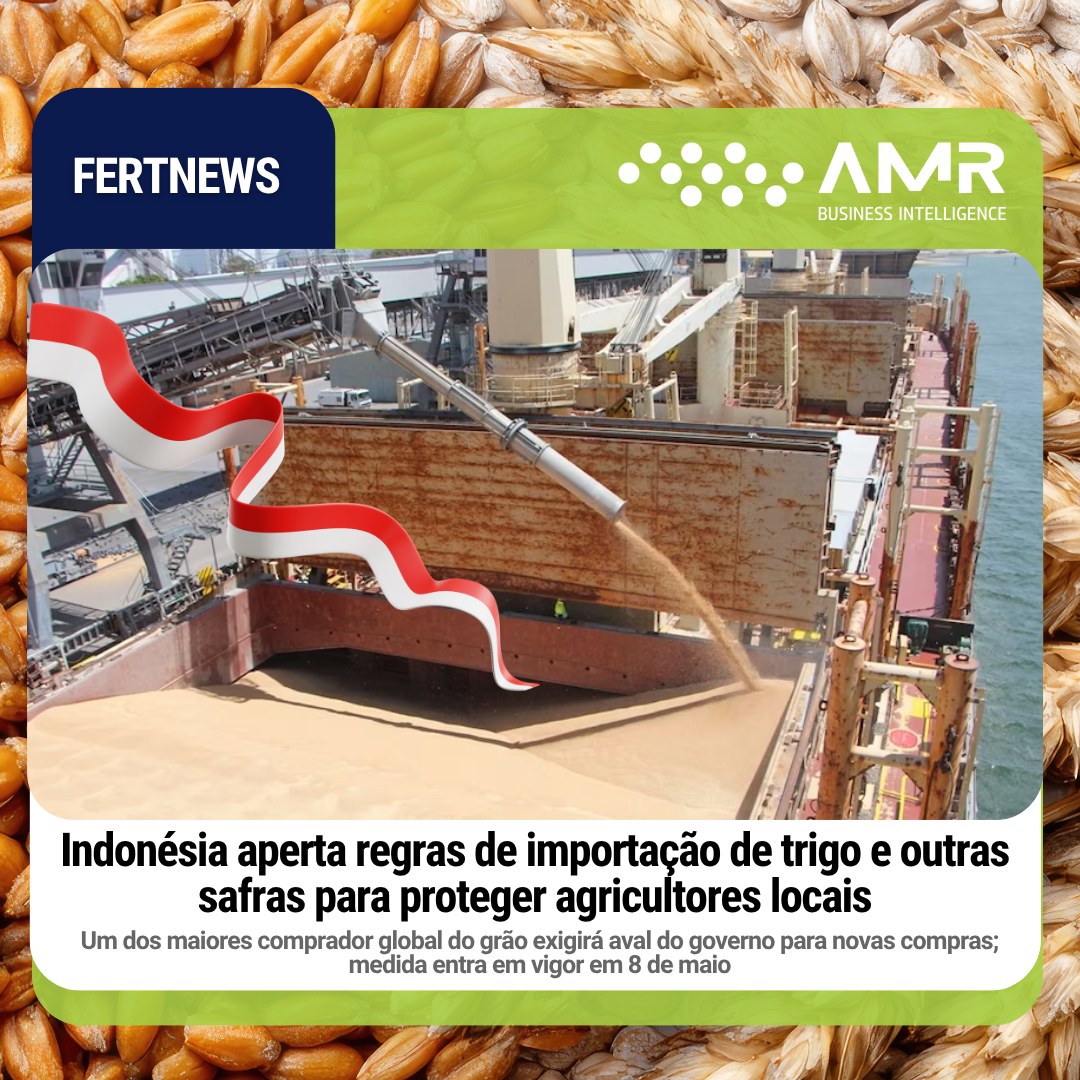 Capa da postagem Indonésia aperta regras de importação de trigo e outras safras para proteger agricultores locais