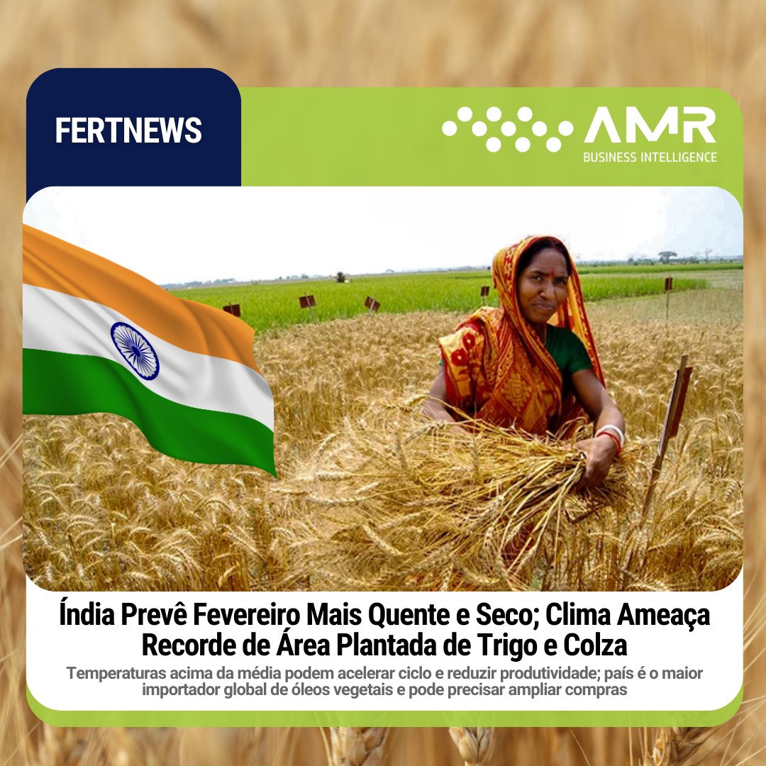 Capa da postagem Índia Prevê Fevereiro Mais Quente e Seco; Clima Ameaça Recorde de Área Plantada de Trigo e Colza