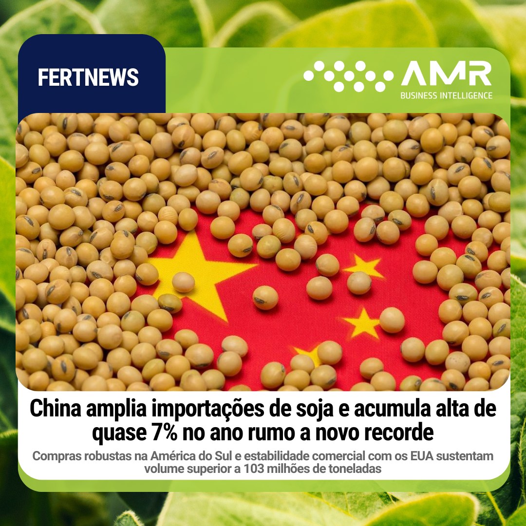 Capa da postagem China amplia importações de soja e acumula alta de quase 7% no ano rumo a novo recorde