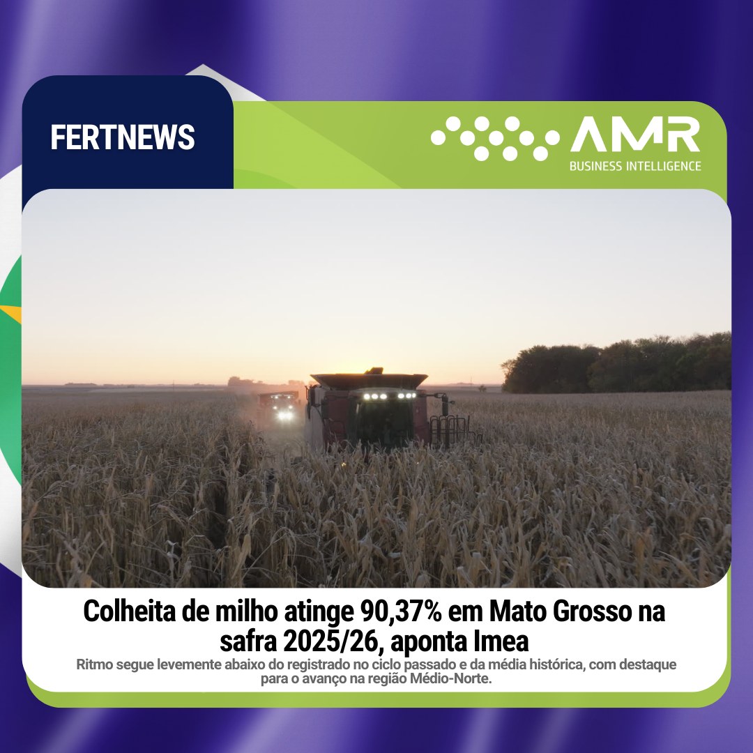 Capa da postagem Colheita de milho atinge 90,37% em Mato Grosso na safra 2025/26, aponta Imea