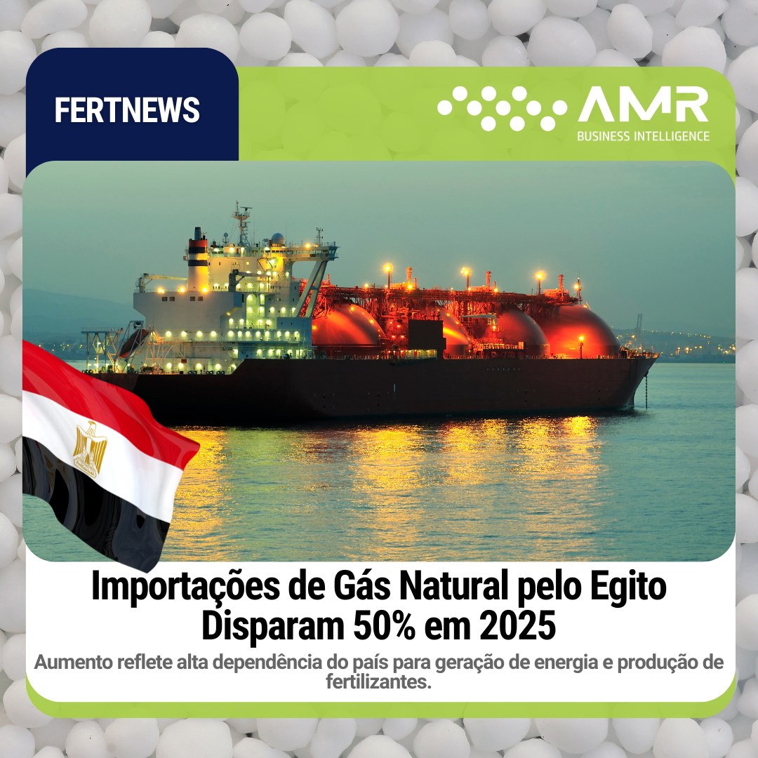 Capa da postagem Importações de Gás Natural pelo Egito Disparam 50% em 2025