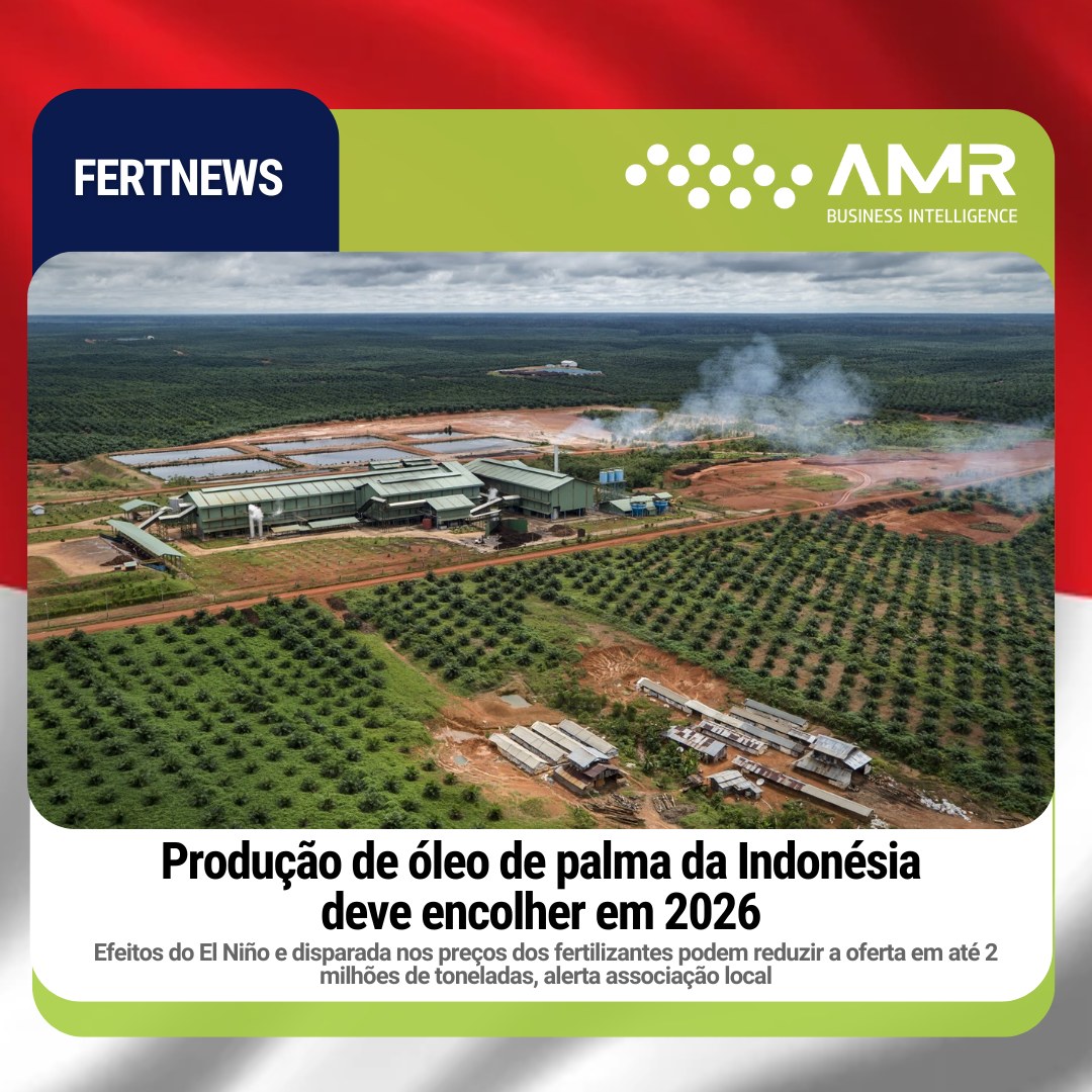 Capa da postagem Produção de óleo de palma da Indonésia deve encolher em 2026