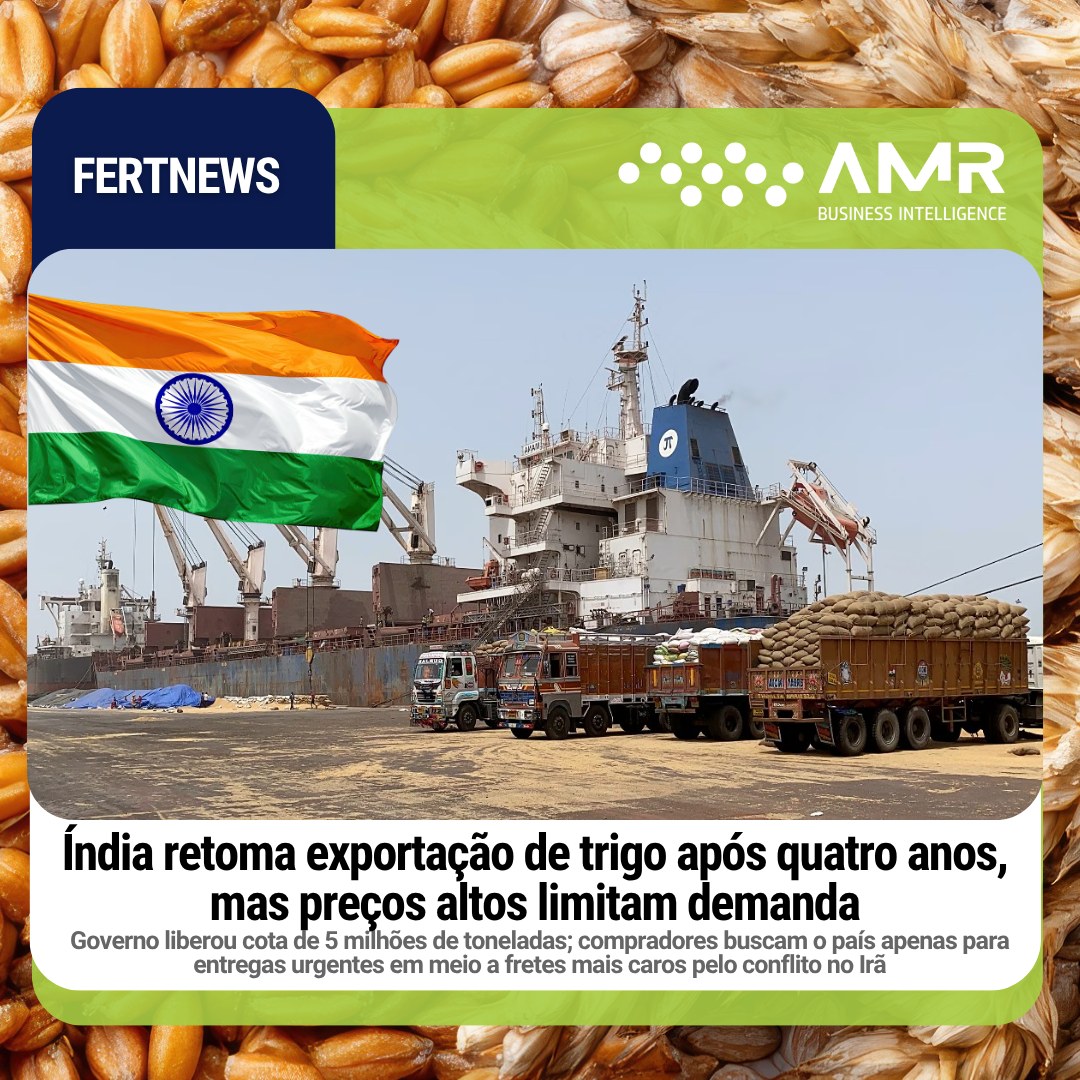 Capa da postagem Índia retoma exportação de trigo após quatro anos, mas preços altos limitam demanda