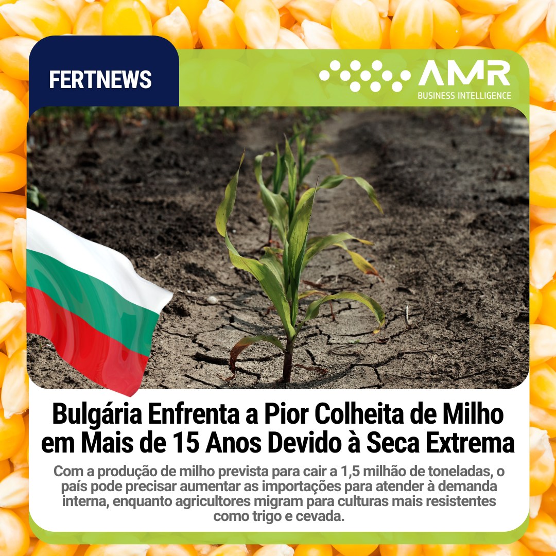 Capa da postagem Bulgária Enfrenta a Pior Colheita de Milho em Mais de 15 Anos Devido à Seca Extrema