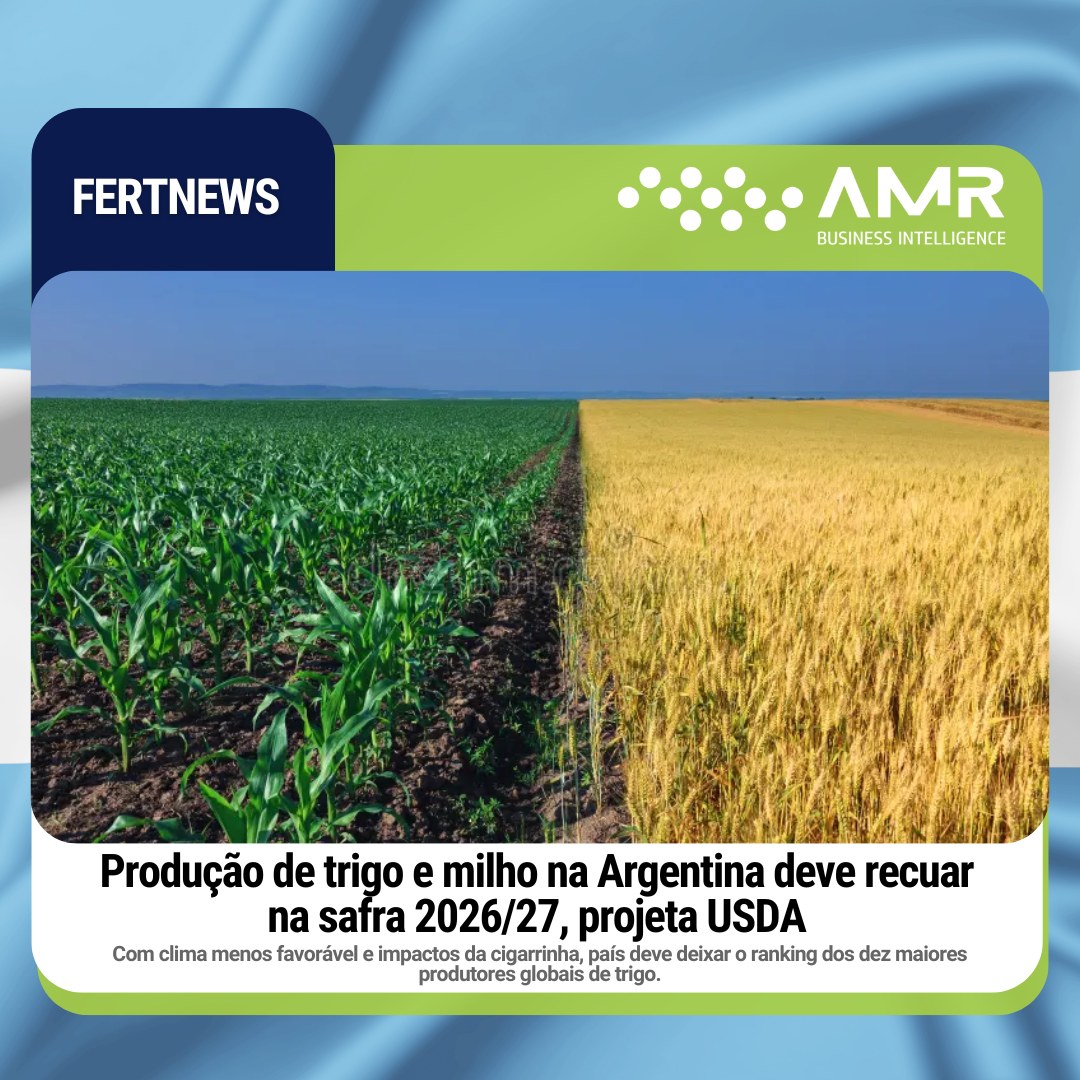 Capa da postagem Produção de trigo e milho na Argentina deve recuar na safra 2026/27, projeta USDA