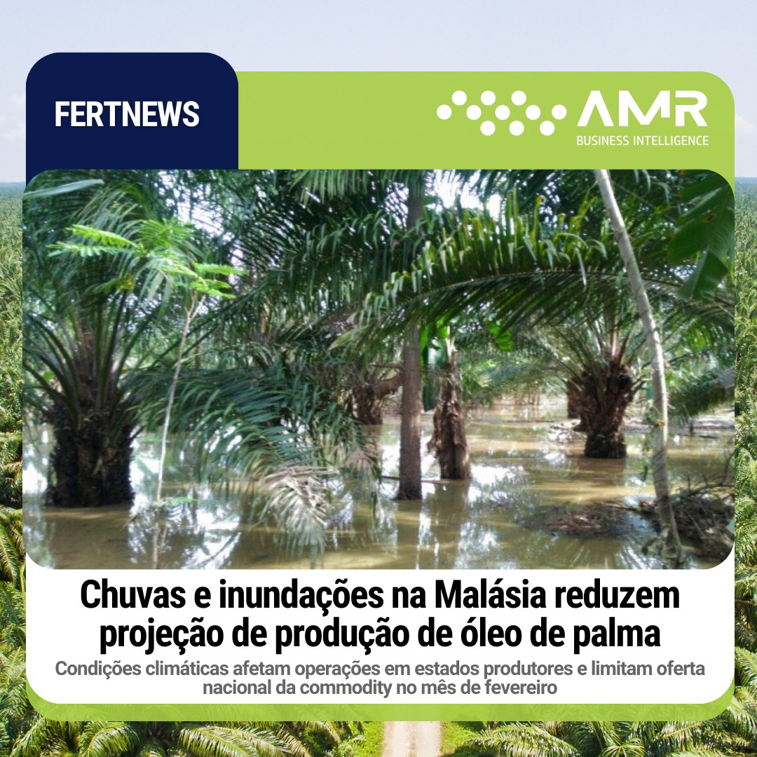 Capa da postagem Chuvas e inundações na Malásia reduzem projeção de produção de óleo de palma