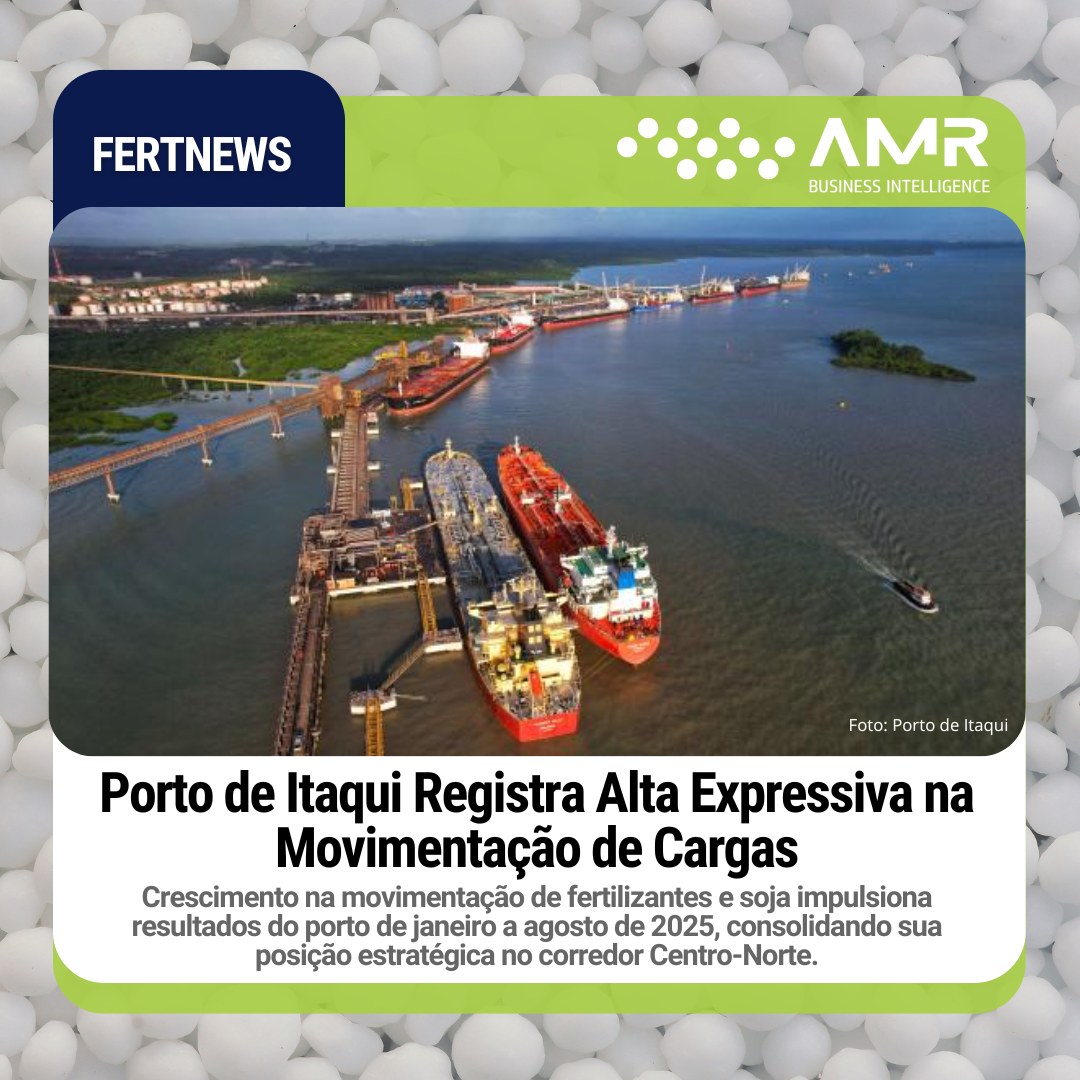 Capa da postagem Porto de Itaqui Registra Alta Expressiva na Movimentação de Cargas