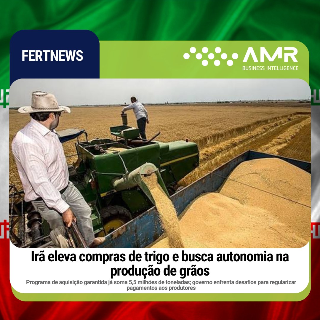 Capa da postagem Irã eleva compras de trigo e busca autonomia na produção de grãos