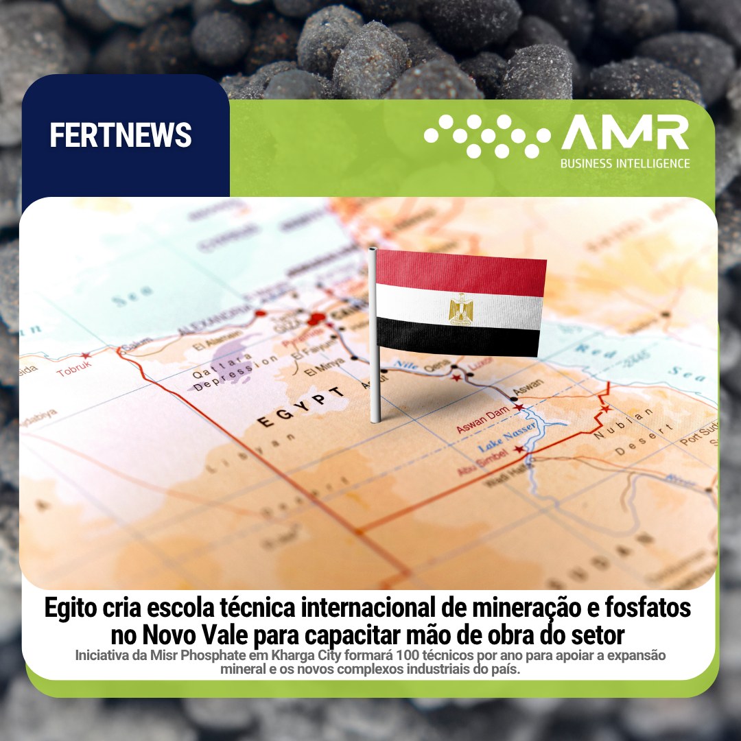 Capa da postagem Egito cria escola técnica internacional de mineração e fosfatos no Novo Vale para capacitar mão de obra do setor