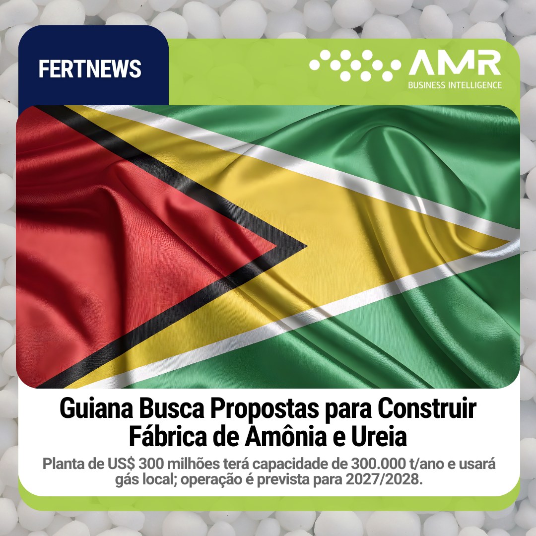 Capa da postagem Guiana Busca Propostas para Construir Fábrica de Amônia e Ureia