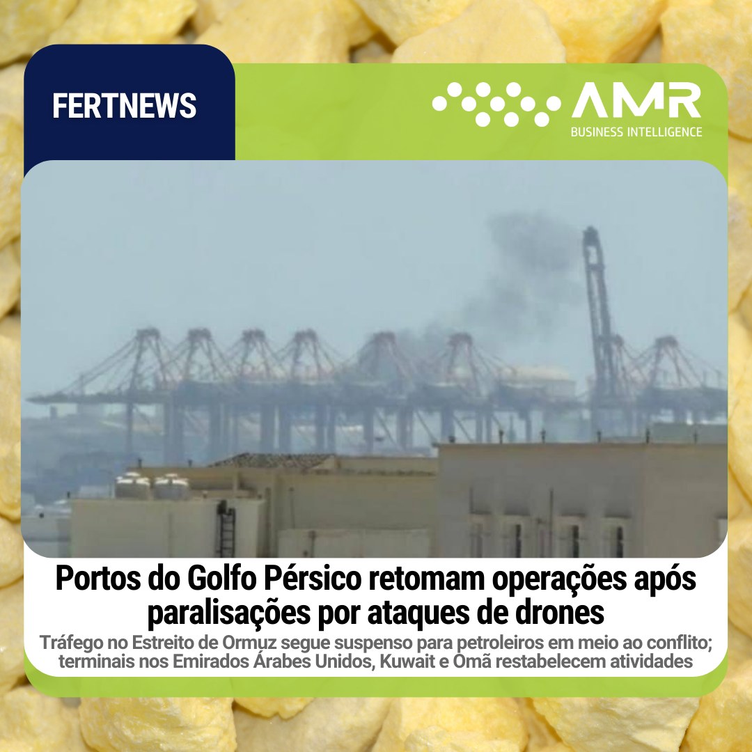 Capa da postagem Portos do Golfo Pérsico retomam operações após paralisações por ataques de drones