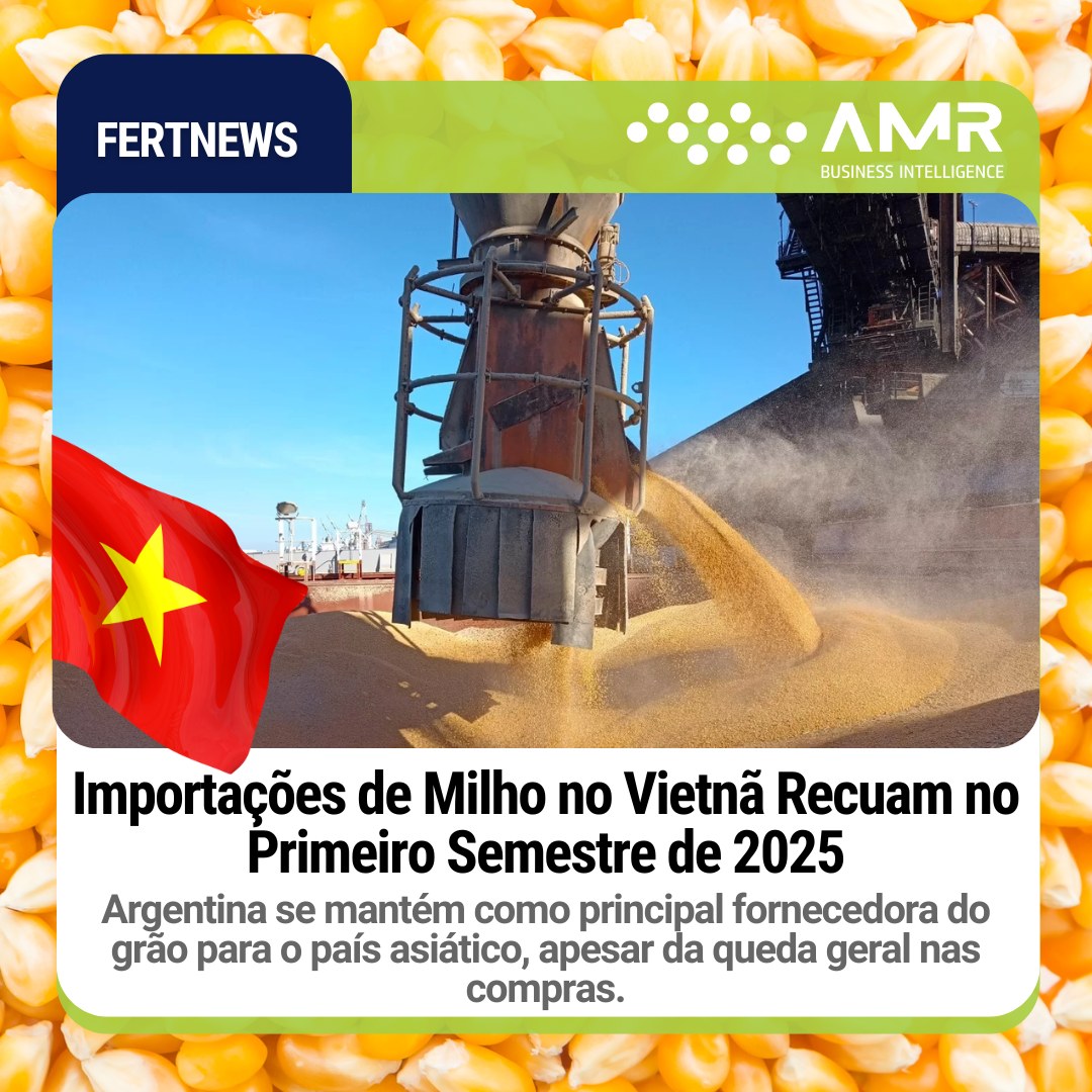 Capa da postagem Importações de Milho no Vietnã Recuam no Primeiro Semestre de 2025