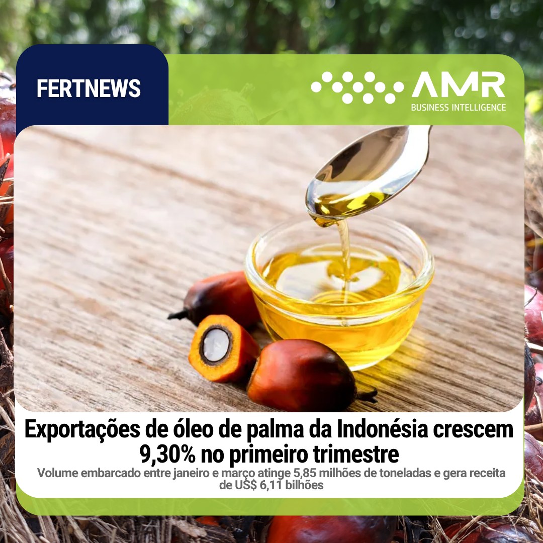 Capa da postagem Exportações de óleo de palma da Indonésia crescem 9,30% no primeiro trimestre