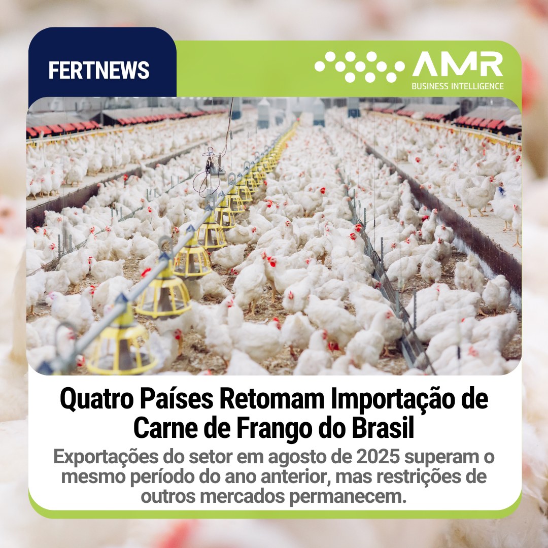 Capa da postagem Quatro Países Retomam Importação de Carne de Frango do Brasil