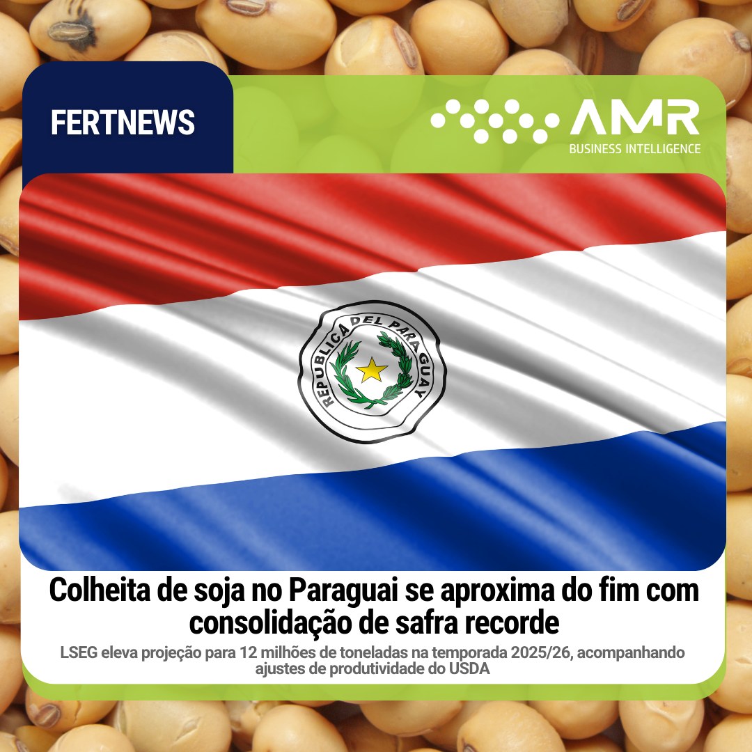 Capa da postagem Colheita de soja no Paraguai se aproxima do fim com consolidação de safra recorde