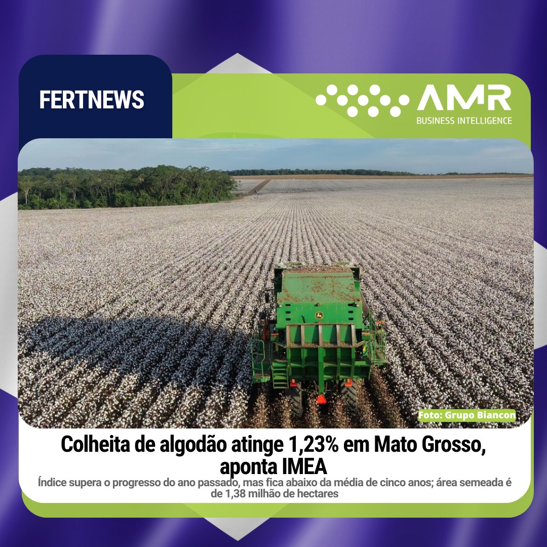 Capa da postagem Colheita de algodão atinge 1,23% em Mato Grosso, aponta IMEA
