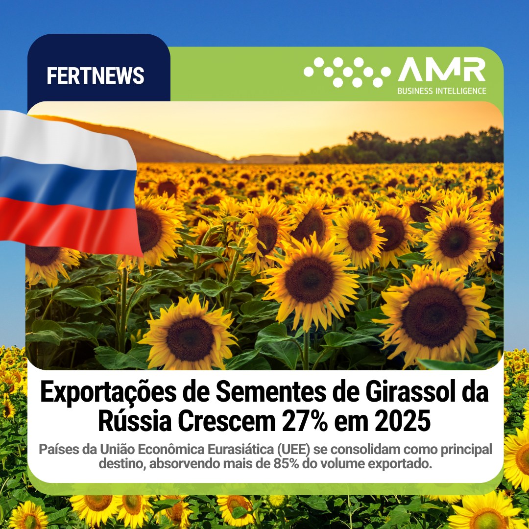 Capa da postagem Exportações de Sementes de Girassol da Rússia Crescem 27% em 2025