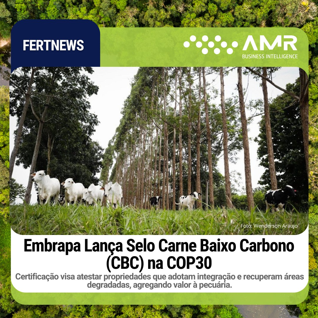 Capa da postagem Embrapa Lança Selo Carne Baixo Carbono (CBC) na COP30