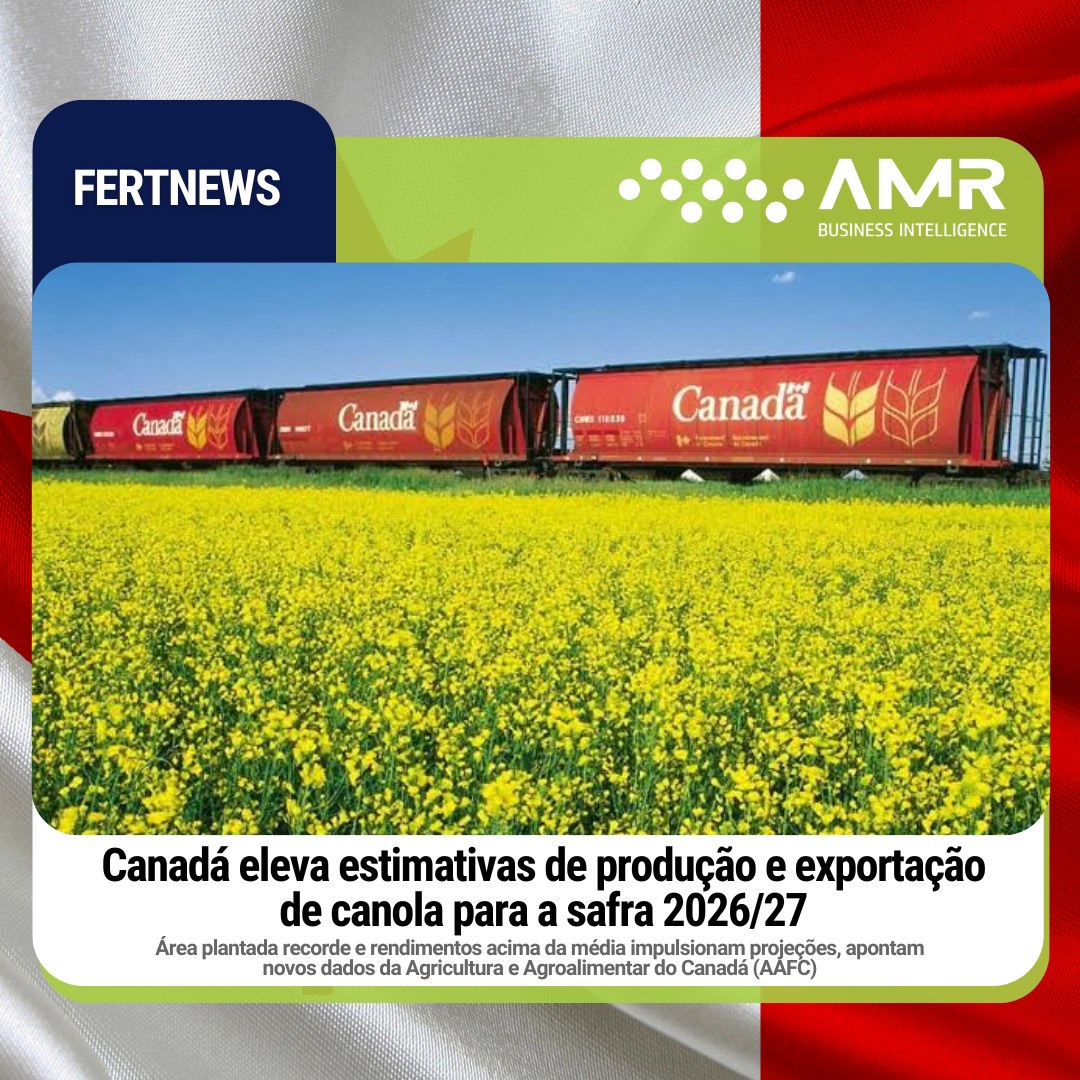 Capa da postagem Canadá eleva estimativas de produção e exportação de canola para a safra 2026/27