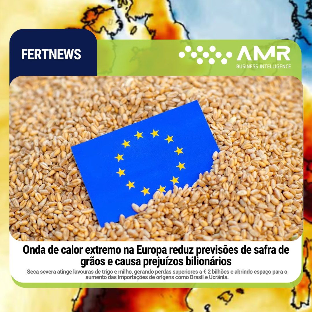 Capa da postagem Onda de calor extremo na Europa reduz previsões de safra de grãos e causa prejuízos bilionários