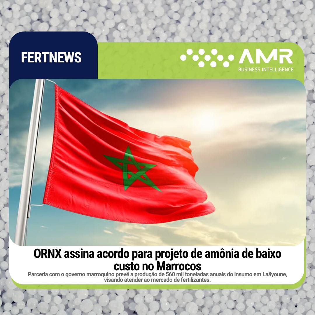 Capa da postagem ORNX assina acordo para projeto de amônia de baixo custo no Marrocos