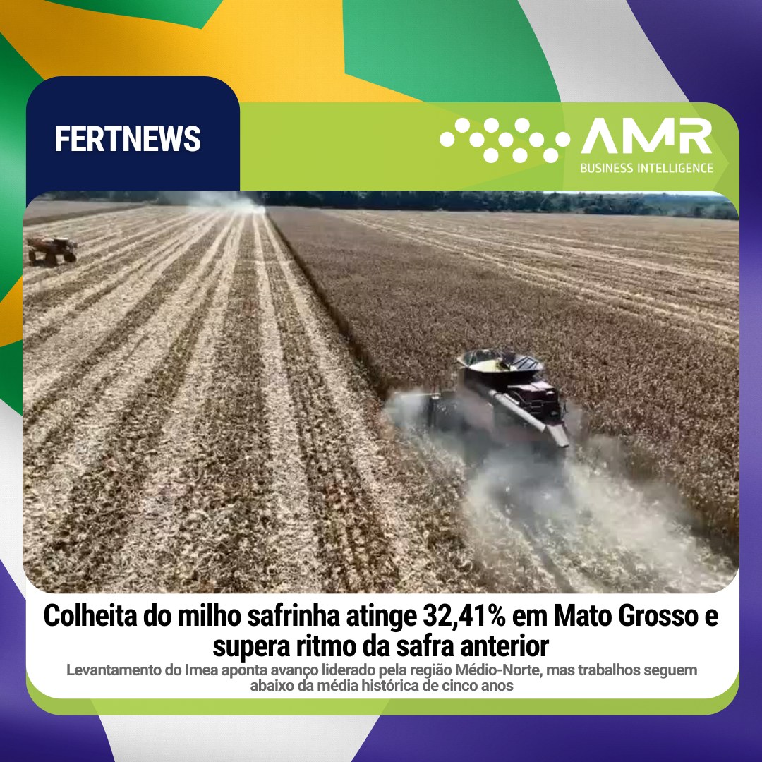 Capa da postagem Colheita do milho safrinha atinge 32,41% em Mato Grosso e supera ritmo da safra anterior