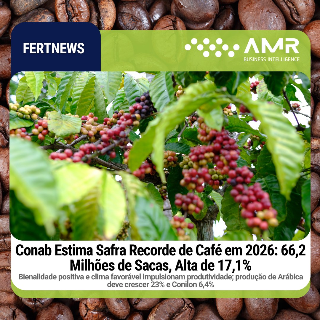 Capa da postagem Conab Estima Safra Recorde de Café em 2026: 66,2 Milhões de Sacas, Alta de 17,1%